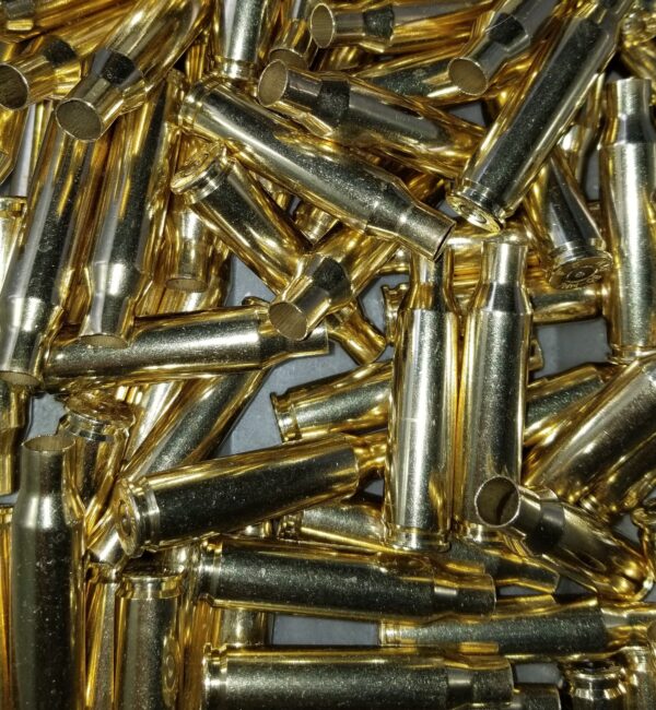 308 Winchester Brass (Unprocessed, Federal Headstamps) - 200 count
